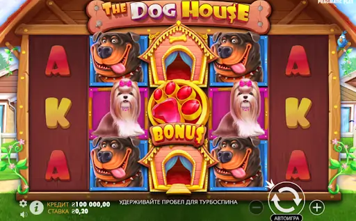 The Dog House бонуси Україна